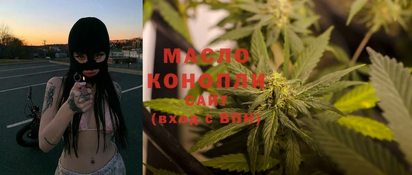 сатива Новодвинск