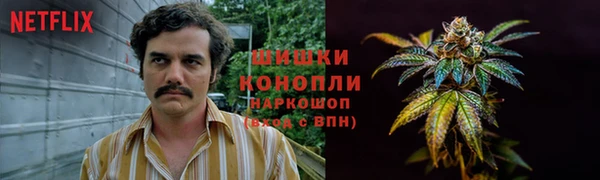 сатива Нефтекумск