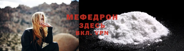 сатива Новодвинск