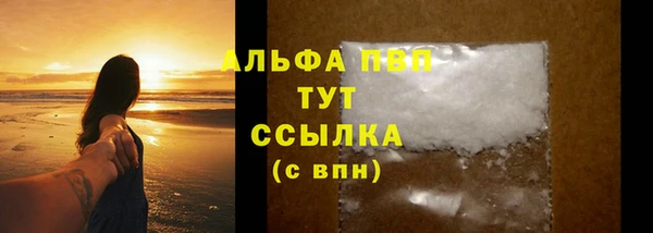 сатива Нефтекумск