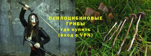 стафф Нея